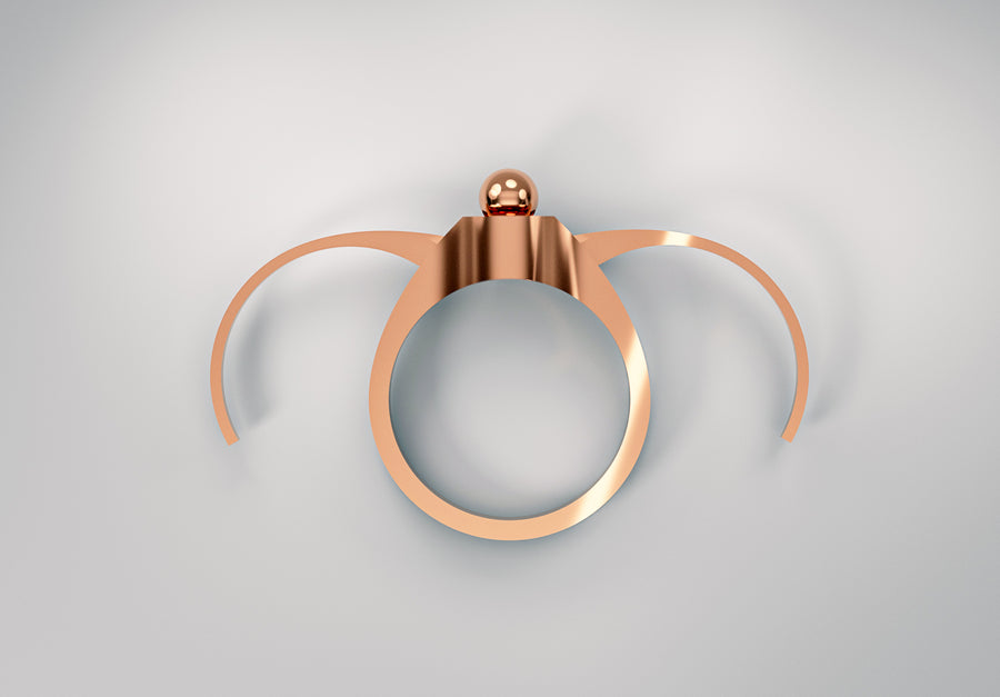 COCCINELLO ANELLO PER LEGGERE - Cyrcus