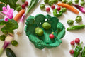 MINESTRONE Fruit Bowls - Cyrcus