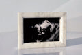 EIKÒNA frame - Cyrcus