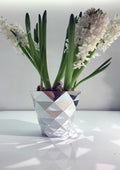 FRAMMENTI COLLECTION vases - Cyrcus