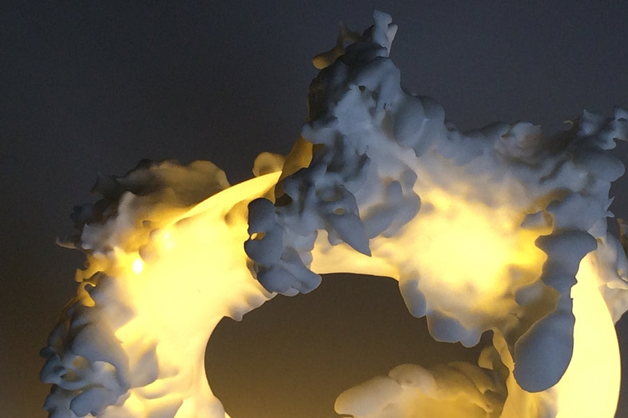 FERAL Artwork Lamp /ARTWORK LIMITED EDITION - Cyrcus