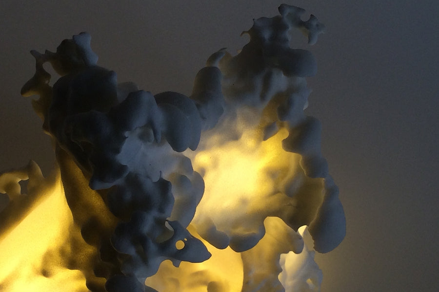 FERAL Artwork Lamp /ARTWORK LIMITED EDITION - Cyrcus