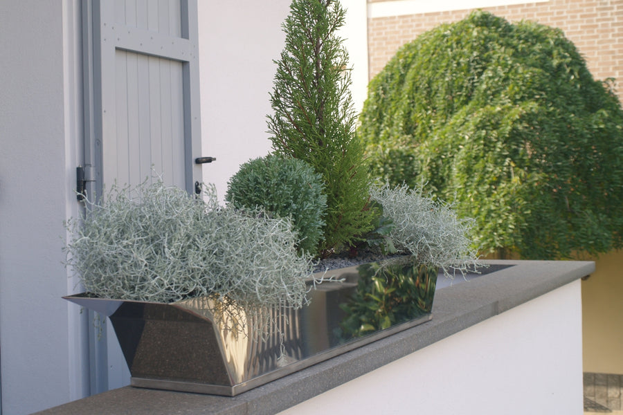 VASINOX Vase - Cyrcus